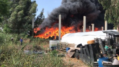 Adana'da korkunç yangın!