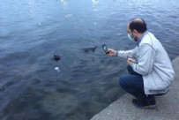 Sahilde yürüyüş yapanlar fark etti! Denizde cenin bulundu