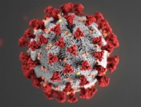 7 Haziran koronavirüs tablosu!