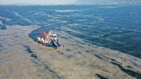 KÖRFEZ - Marmara istila altında! Deniz salyasının (müsilaj) ilk raporu ortaya çıktı! Korkunç sonuç!