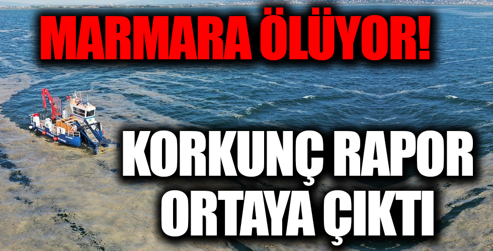 Marmara istila altında! Deniz salyasının (müsilaj) ilk raporu ortaya çıktı! Korkunç sonuç!