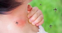 Sivrisineklerden Kurtulmanın Yolları Nelerdir? Evde Sivrisinek İlacı Nasıl Yapılır? Haberi