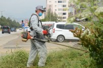 Bozüyük Yaza Yemyesil Girecek