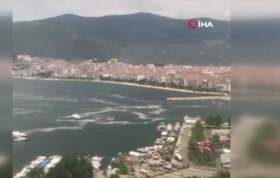 Gemlik Körfezindeki Müsilaj Istilasi Vatandas Kamerasinda