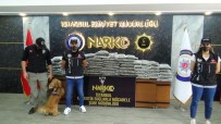 NARKOTIK - Narkotik Köpegi 'Alex' Tirda 60 Kiloya Yakin Uyusturucu Buldu