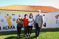 HAYVAN - Pandemide Can Dostlara Ilgi Artti