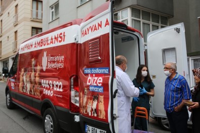 Ümraniye'de Hayvan Ambulansi Hayat Kurtariyor