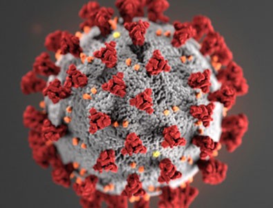 9 Haziran koronavirüs tablosu!