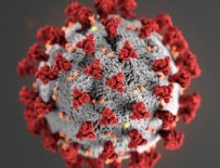 9 Haziran koronavirüs tablosu!