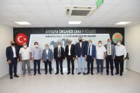 HAYVAN - Baskan Böcek OSB Baskani Ali Bahar'la Bir Araya Geldi