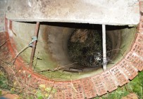 İTİRAF - Esenyurt'ta Dehsete Düsüren Olay...Is Arkadasini Öldürüp Kuyuya Atti