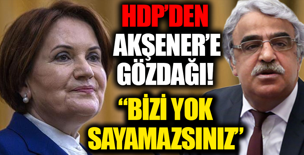 HDP'li Mithat Sancar'dan 'ayrı aday çıkarın' diye taktik veren Meral Akşener'e gözdağı