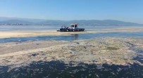Izmit Körfezi'nde Deniz Salyasi Ile Mücadele Devam Ediyor