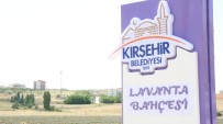 SONBAHAR - Kirsehir'de Lavanta Festivali Düzenlenecek