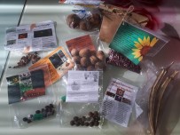 PORTEKIZ - Köy Okulu Ögrencileri Avrupa Ülkelerine Adilcevaz Cevizini Tanitti