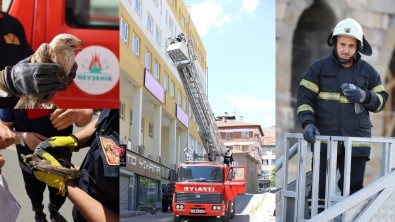 Nevsehir'de Itfaiye Ekipleri 1 Yilda 220 Hayvani Kurtardi