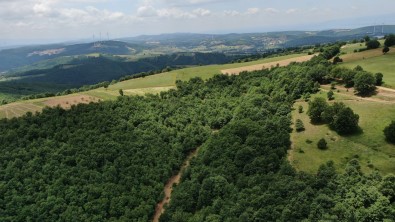 Nilüfer'e Günes Enerjisi Santrali...