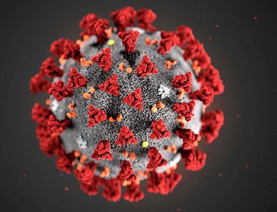 1 Temmuz koronavirüs tablosu!