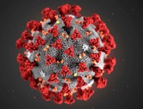 1 Temmuz koronavirüs tablosu!