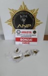 NARKOTIK - Amasya'da Uyusturucu Operasyonu Açiklamasi 5 Tutuklama