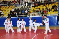 BİTLİS - Bitlis'te Yaz Spor Okullarinin Açilisi Yapildi