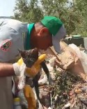 YAVRU KEDİ - Böyle Vicdansizlik Görülmedi Açiklamasi Kedi Yavrusunu Çöpe Atmislar