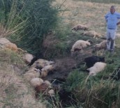  SU  - Diyarbakir'da Dereye Atlayan Koyunu 500 Koyun Takip Etti Açiklamasi 36 Koyun Telef Oldu