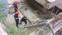 SURİYE - Fatih'te Alacaklilarindan Kaçarken Apartman Bosluguna Düstü