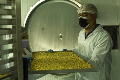 Gastronomi Sehrinin' Modern Kurutmaliklari' Dünyaya Ihraç Ediliyor