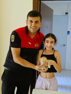Havalandirma Bosluguna Düsen Yavru Kedi Kurtarildi