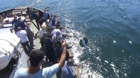 MUSTAFA KEMAL ATATÜRK - Kabotaj Bayraminda Batik Gemiye Çelenk Birakildi