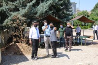 REKTÖR - Karacoskun Üniversite Içerisindeki Çevre Düzenleme Çalismalarini Inceledi