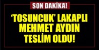 MEHMET AYDIN - Kırmızı bültenle aranan 'Tosuncuk' lakaplı Mehmet Aydın teslim oldu!