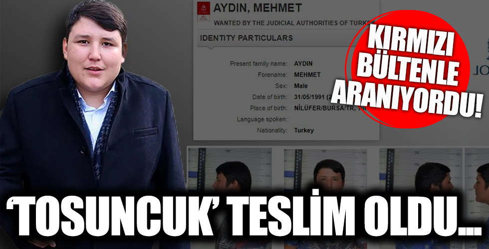 Kırmızı bültenle aranan 'Tosuncuk' lakaplı Mehmet Aydın teslim oldu!