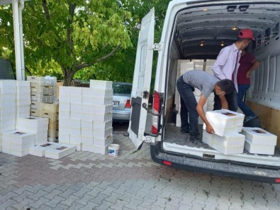 Malatya'dan Il Disina Koli Koli Hediyelik Kayisi