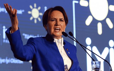 Meral Akşener'in yalanı elinde patladı! Hepsi yeniden orman oldu...