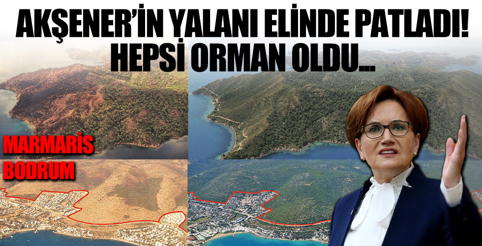 Meral Akşener'in yalanı elinde patladı! Hepsi yeniden orman oldu...