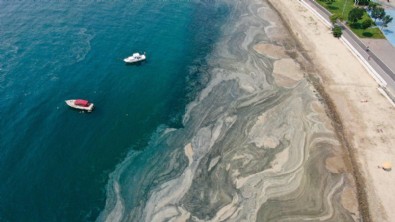 Müsilaj sorununa yeni çözüm! İBB yapamazsa bakanlık el atacak