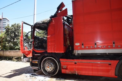 Park Halindeki Tir Yandi