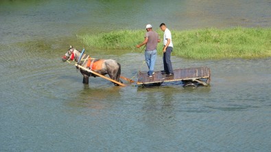 Sicaktan Bunalan Ati Nehirde Serinlettiler