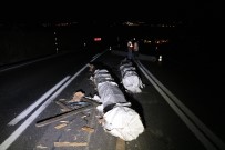 ROMANYA - Tirdan Dökülen Alüminyum Çubuklar Yolu Trafige Kapatti