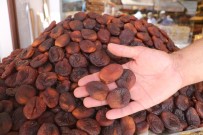  SİVAS - Ünü Ülke Sinirlarini Asan Kuru Kayisida Tahmini Rekolte Açiklandi