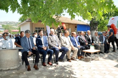 Karacabey'de Karpuz Senligi