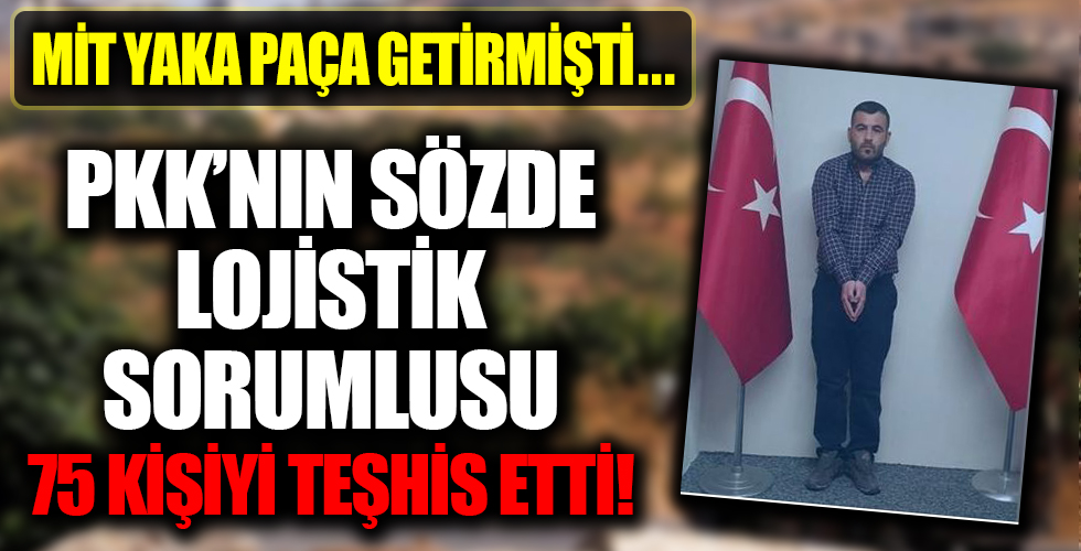 MİT yaka paça getirmişti! 75 PKK'lıyı deşifre etti