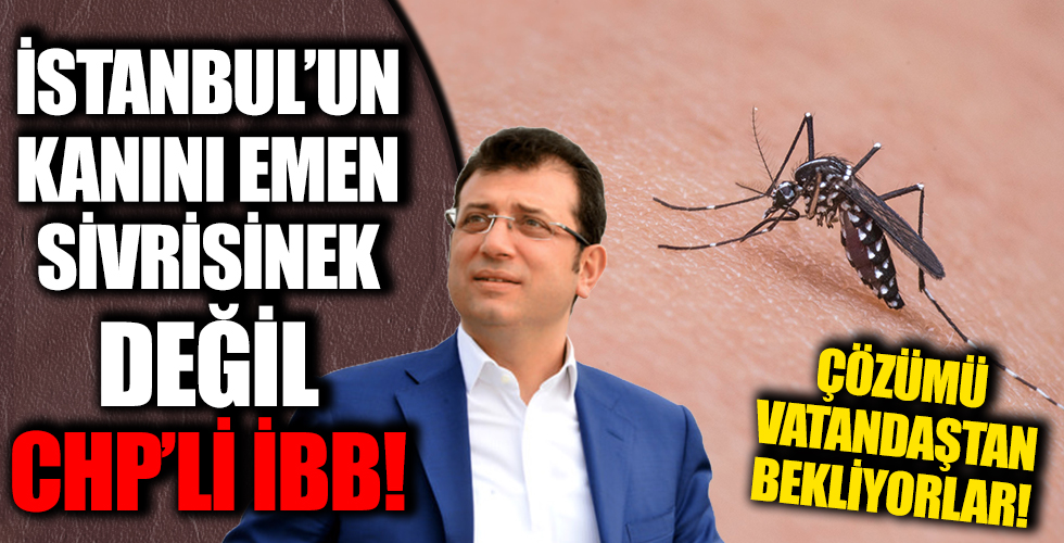 CHP'li İBB yüzünden İstanbullunun kanını emiyorlar! Çözümü yine vatandaştan istediler...