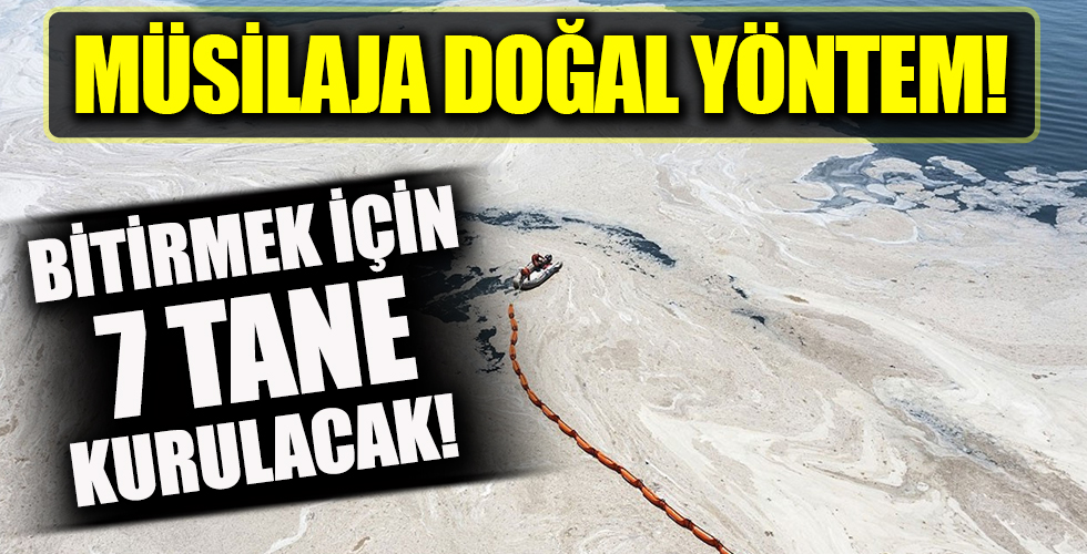 Müsilaja doğal yöntem! Bitirmek için 7 tane kurulacak!