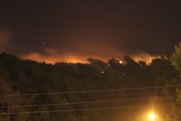 Hatay'da Orman Yangini
