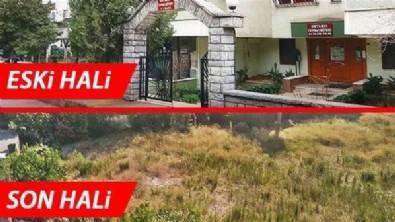 Kentsel dönüşümde 'santim' oyunu! Binde birini başkasına sattı! Sonrası film senaryosu gibi...