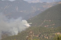 Mersin'deki Orman Yangini Devam Ediyor