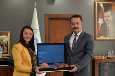 Pazaryeri, Sanayi Yatirimcilarini Bekliyor